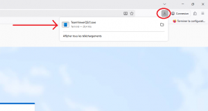 installation via firefox 1